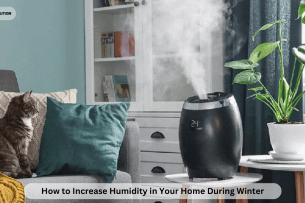 How to Increase Humidity in Your Home During Winter