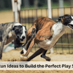 Dog Run Ideas to Build the Perfect Play Space