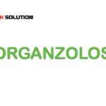 Gorganzolosis
