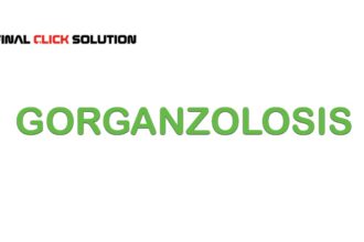 Gorganzolosis