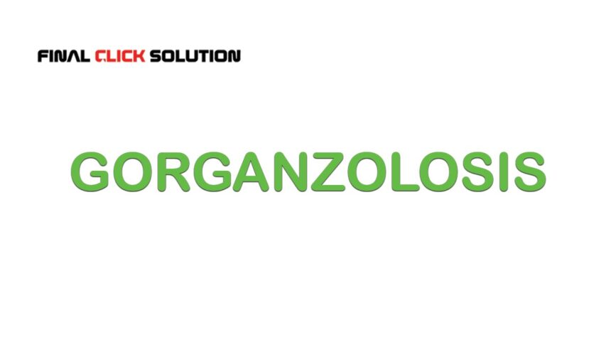 Gorganzolosis