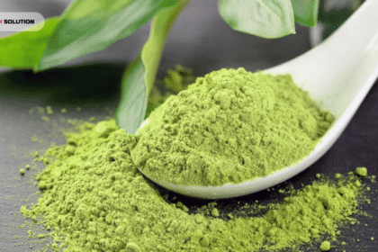 What is Inside Matcha? Nutrients & Benefits