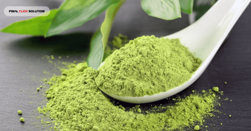 What is Inside Matcha? Nutrients & Benefits
