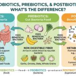 Probiotics vs Prebiotics vs Postbiotics: What's the Difference?