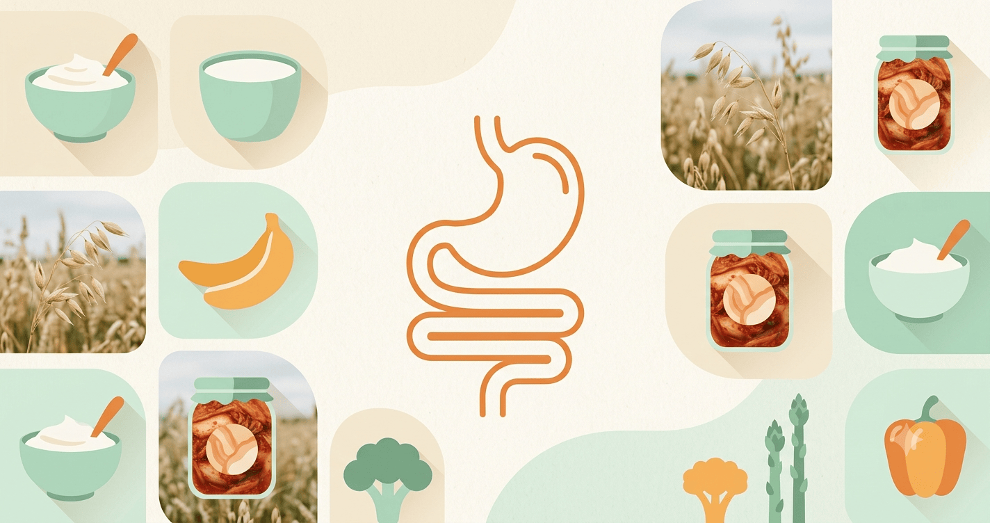 Best Foods for Gut Health: Probiotics and Prebiotics